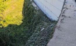 20250917_113844_resize