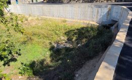 20250917_113931_resize