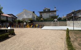 IMG_3733