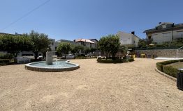 IMG_3758