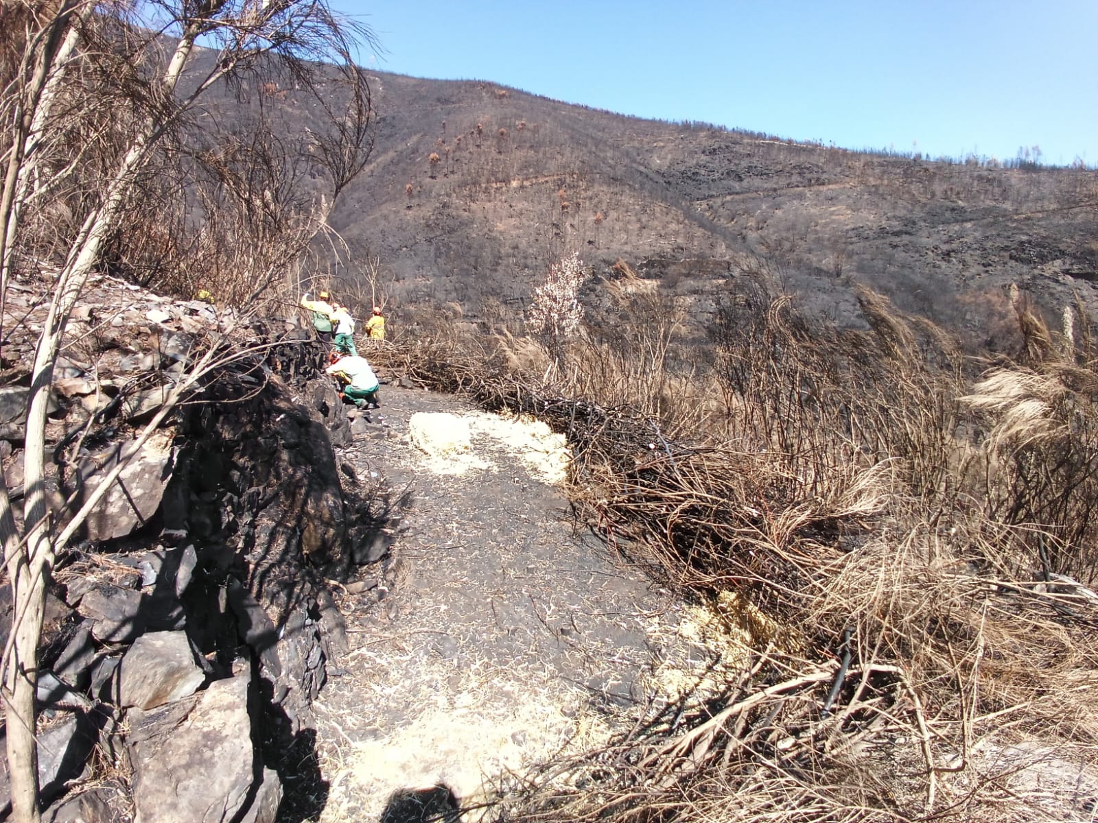 MITIGAÇÃO E ESTABILIZAÇÃO NAS ÁREAS AFETADAS PELO INCÊNDIO DO PIÓDÃO