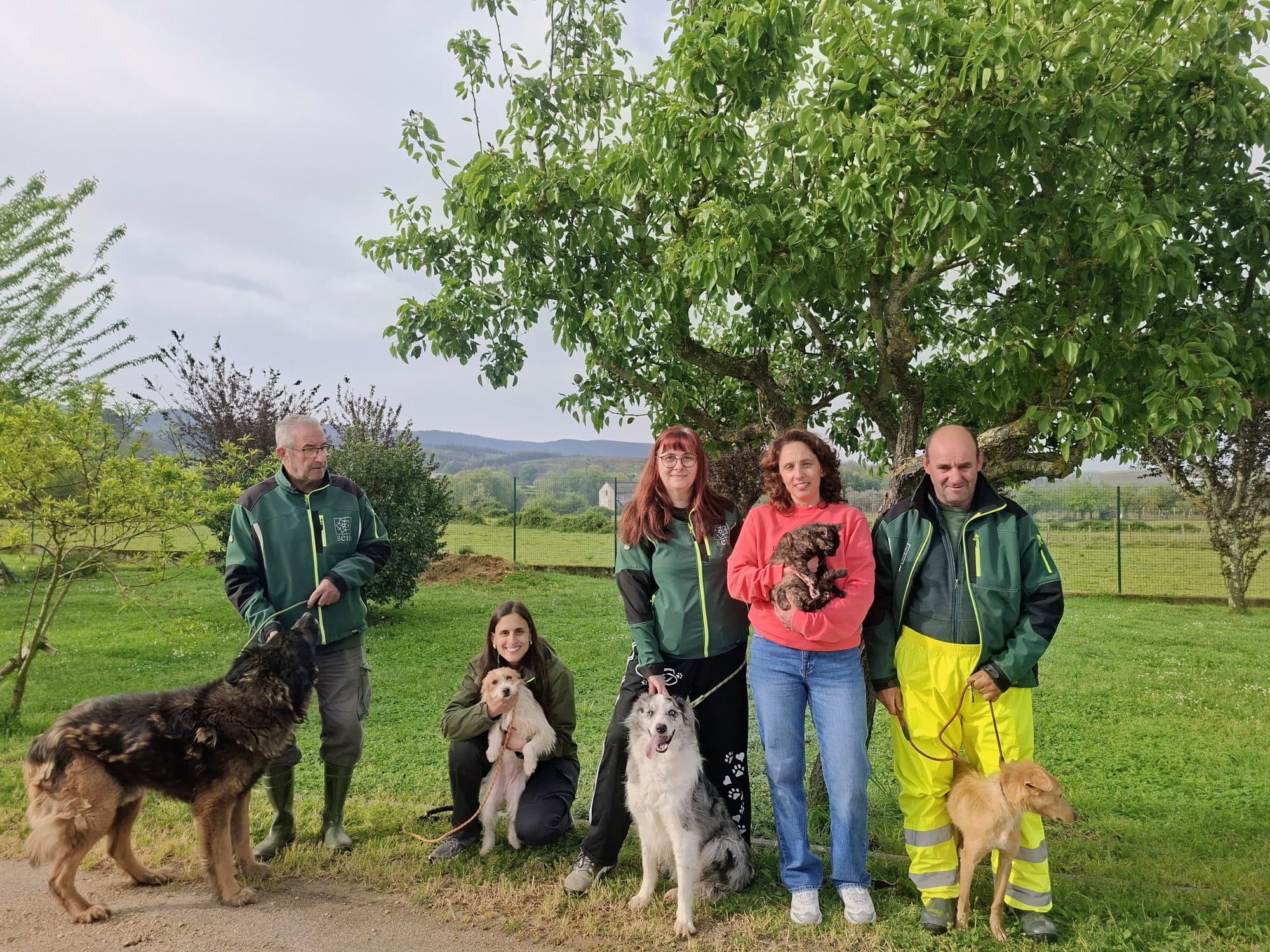 Centro de Recolha Oficial de Seia triplica esterilizações em dois anos