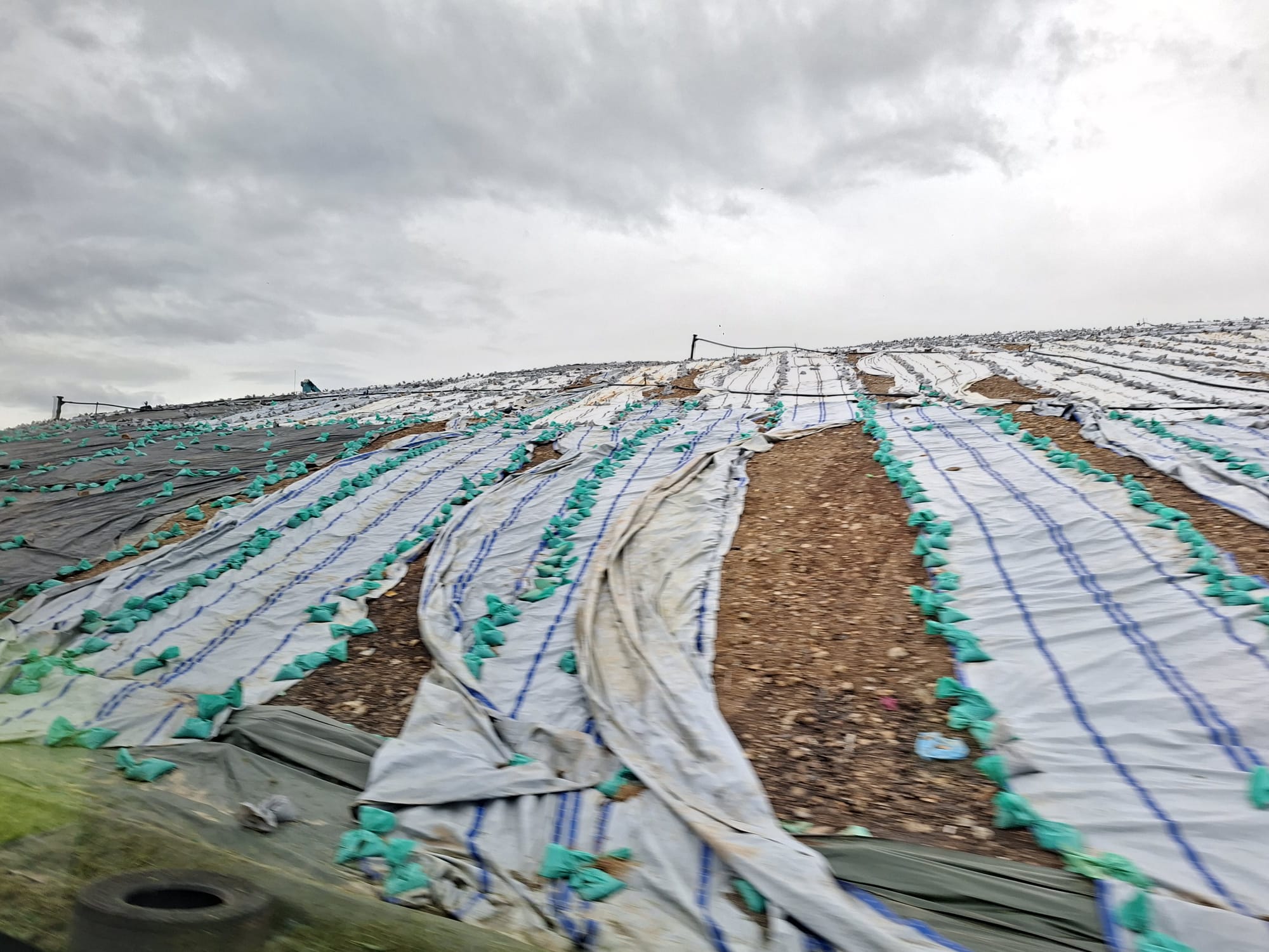 WhatsApp Image 2026-04-09 at 17.34.50