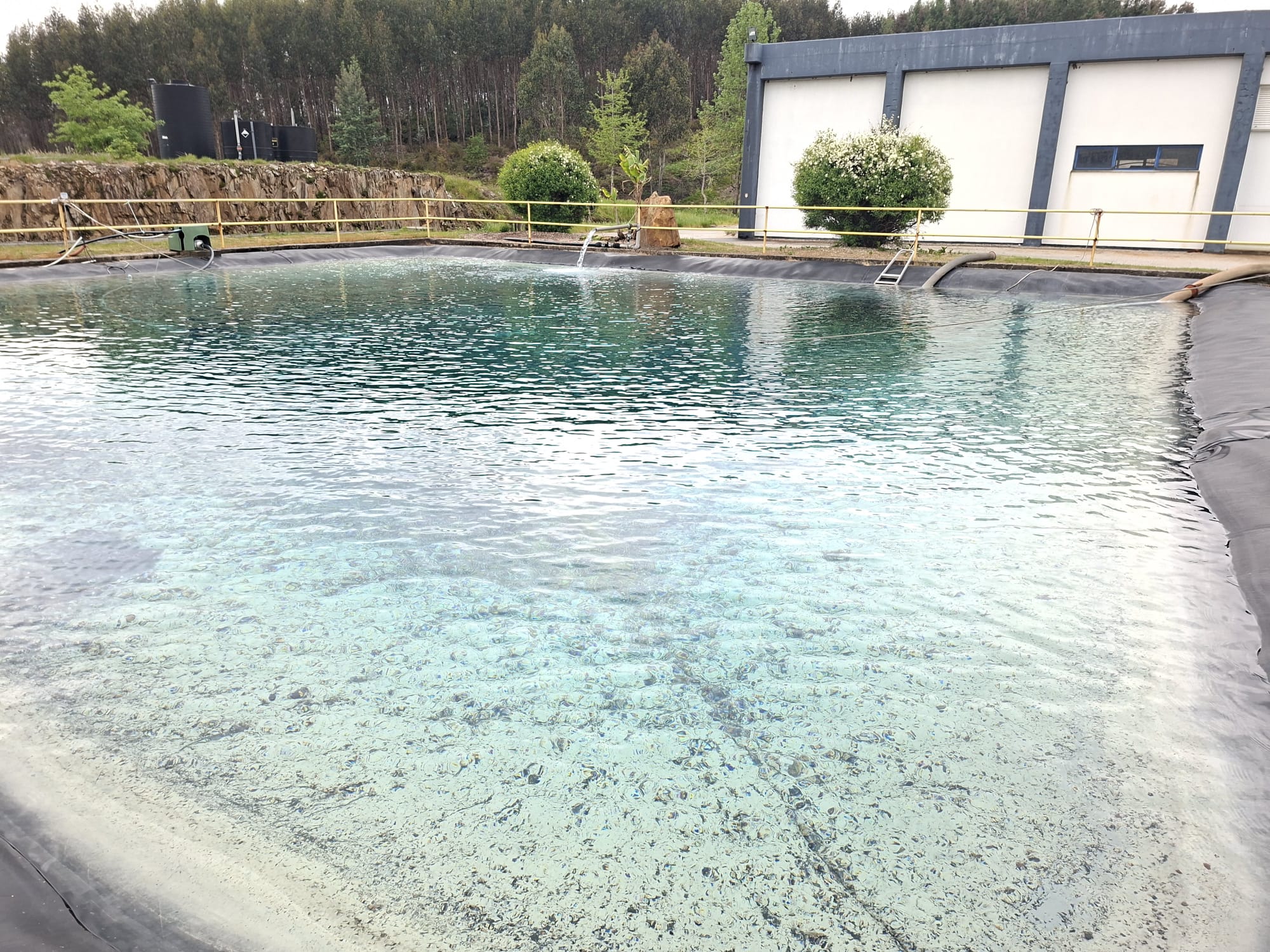 WhatsApp Image 2026-04-09 at 17.35.43