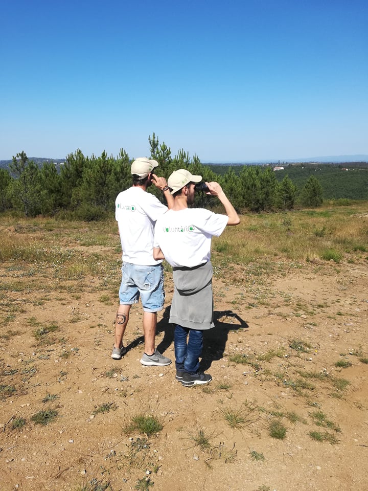 Seia vai receber voluntários jovens para a preservação da natureza e florestas